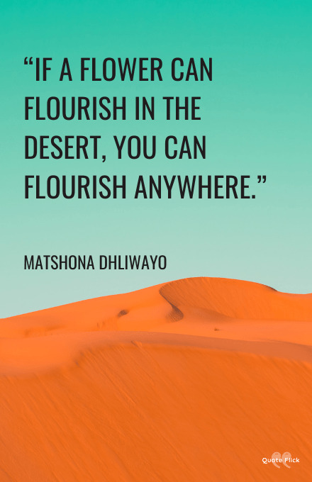Desert quotes