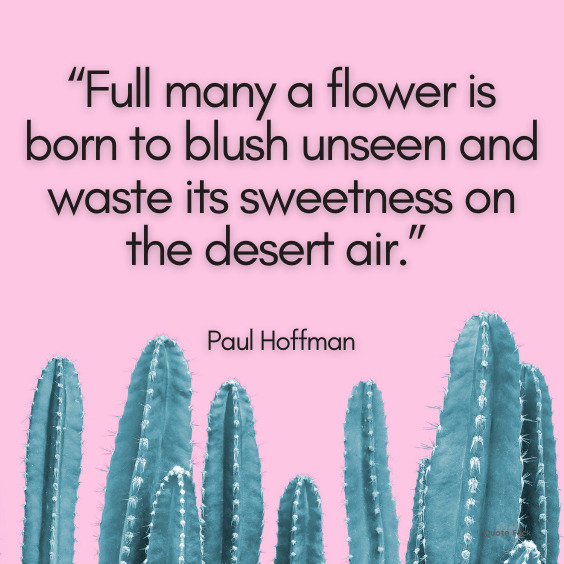 Desert sayings