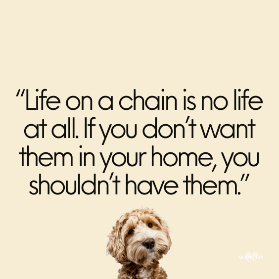 Dog abuse quotes