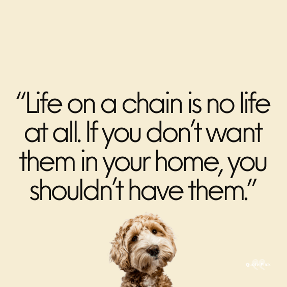 Dog abuse quotes