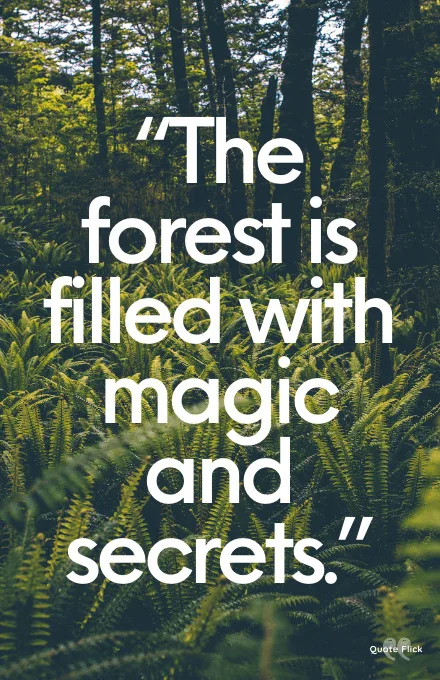 Enchanted forest quotes