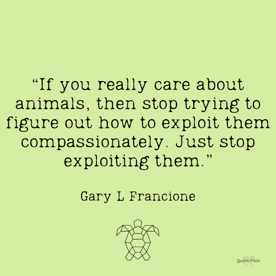 Famous animal cruelty quotes