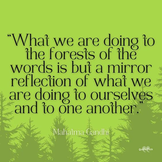 Famous quotes on forests
