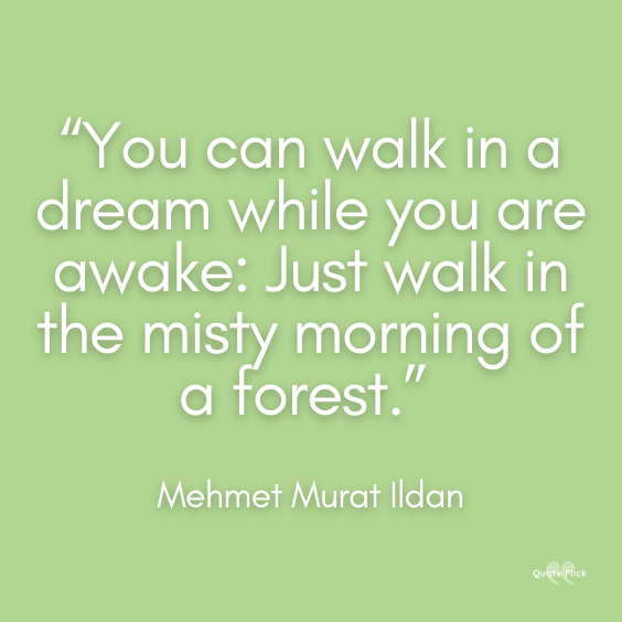 Forest quotations