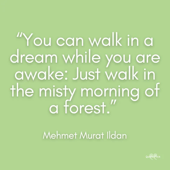 Forest quotations