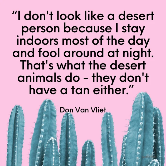 Funny desert quote