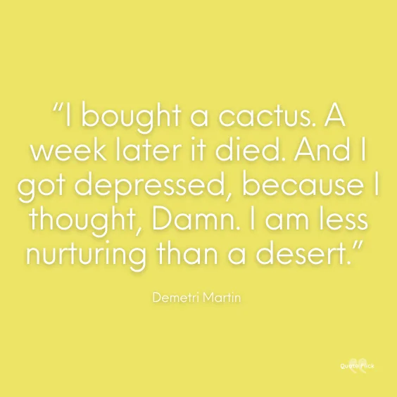 Funny desert quotes