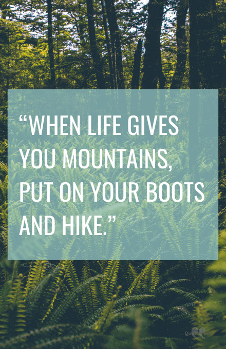 Hike quotes