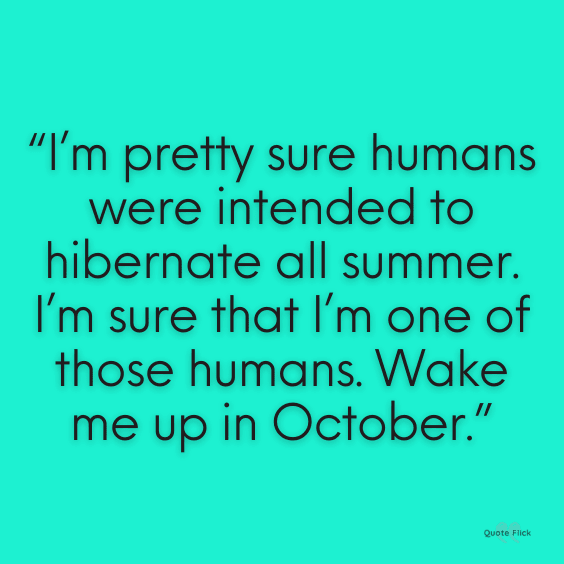 Hot weather funny quotes