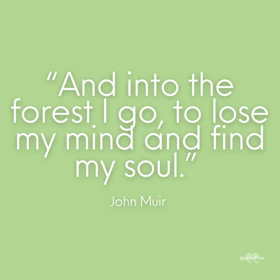 Into the forest quotes
