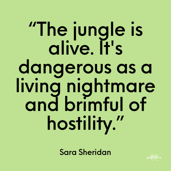 Jungle quotation