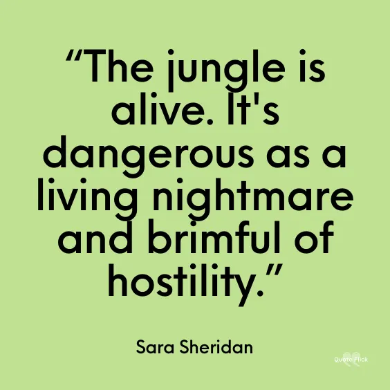 Jungle quotation