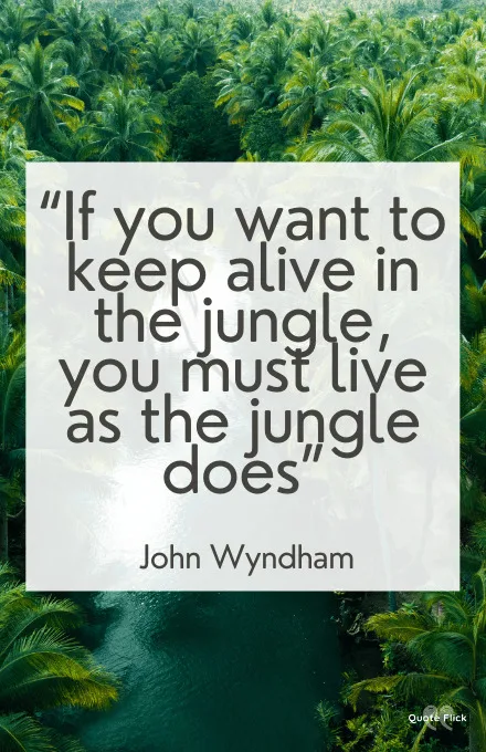 Jungle quotes