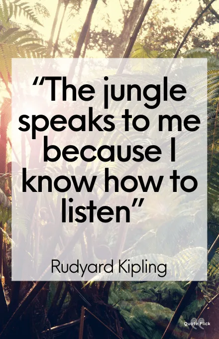Jungle sayings