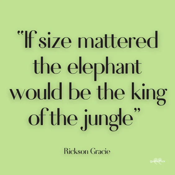 King of the jungle quote