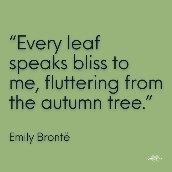 Leaf quotations