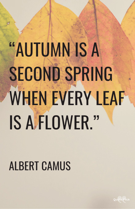 Leaf quotes