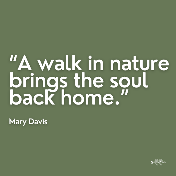 Nature walk quotes