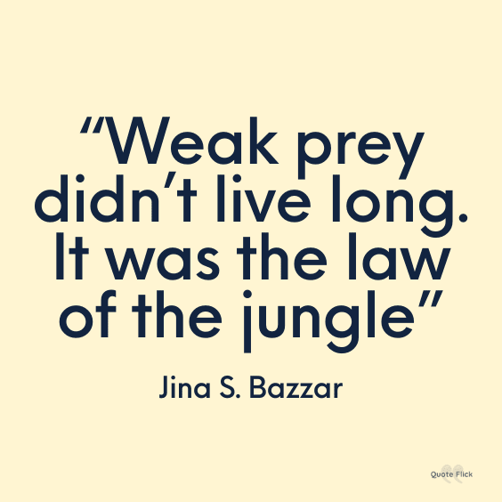 Phrase about the jungle