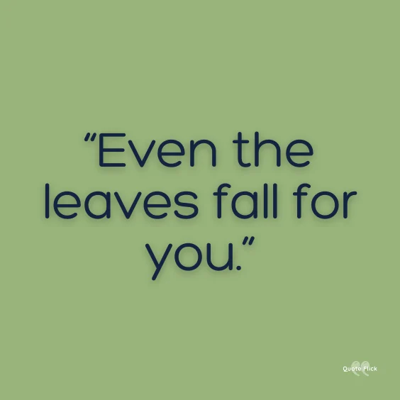 Quotation on leaves