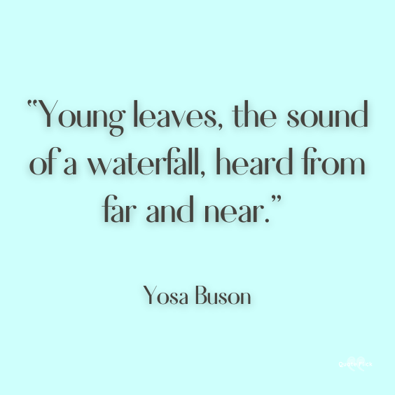 Quotation waterfall