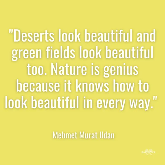 Quotations about deserts