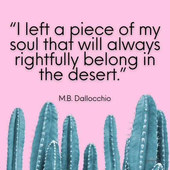 Quotations about the desert