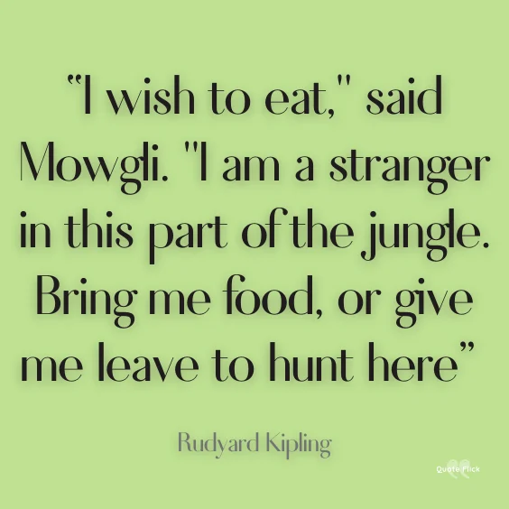 Quotations about the jungle