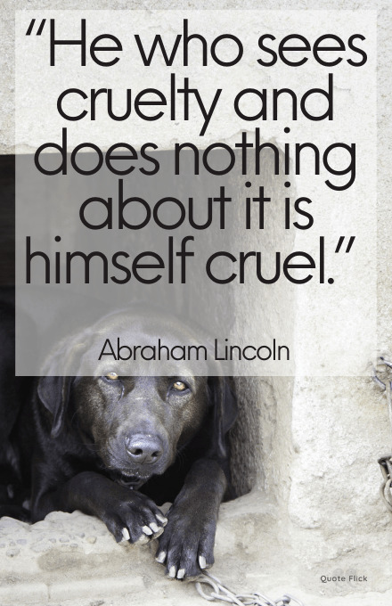 Quotations on animal cruelty