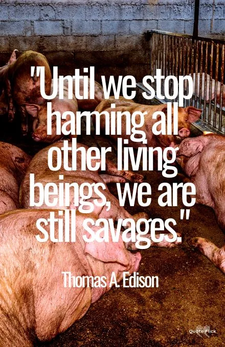 Quotes about animal cruelty