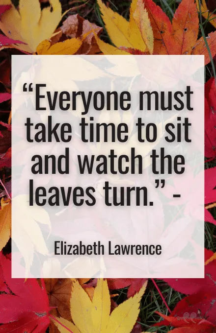 Quote about leaves