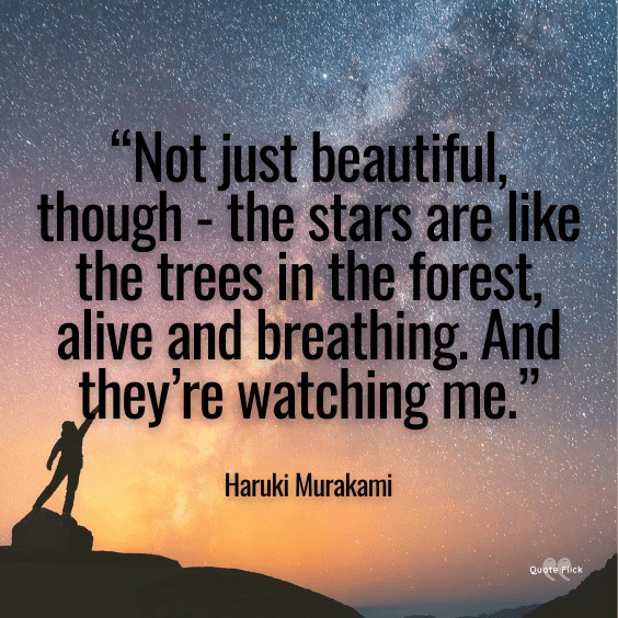 Quote about the stars