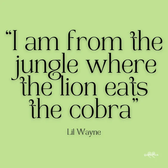 Quote from the jungle