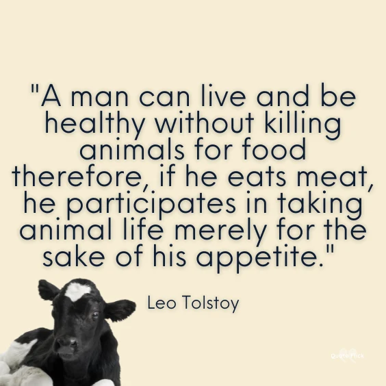 Quotes on animal cruelty