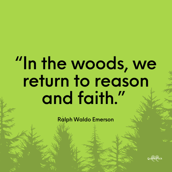 Quote woods