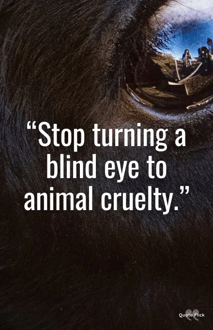 Quotes about animal cruelty