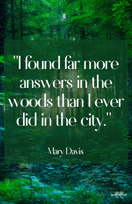 Quotes about being in the woods