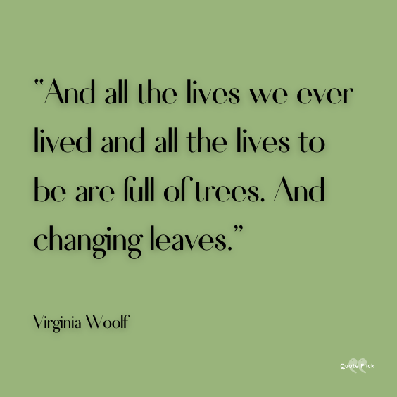 Quotes about changing leaves