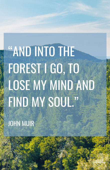 Quotes about forest