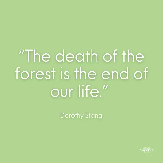 Quotes about forestry