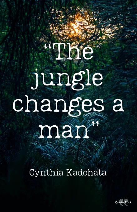 Quotes about jungle
