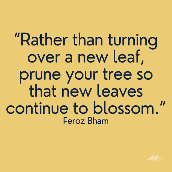 Quotes about leaf