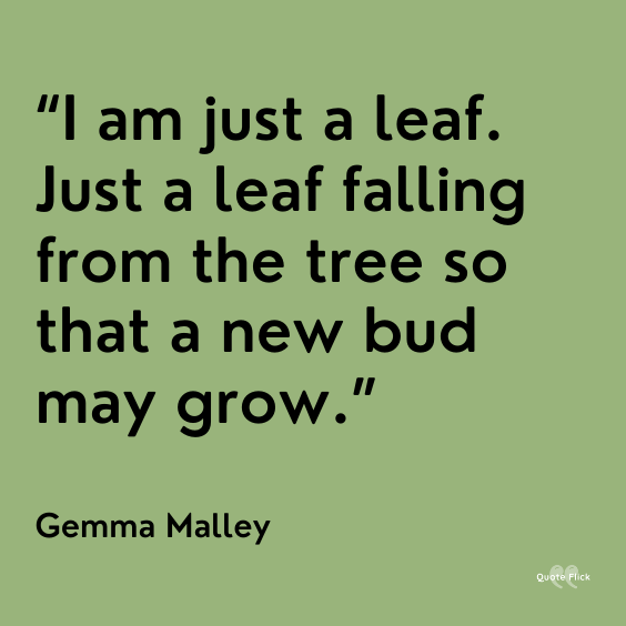 Quotes about leaved falling off trees