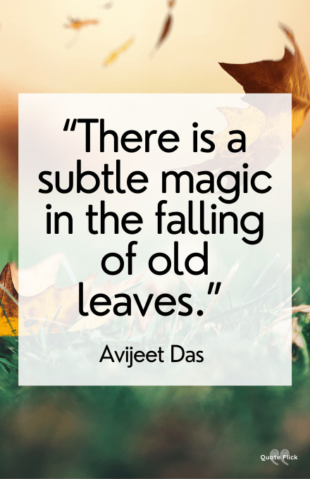 Quotes about leaves