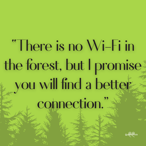 Quotes about the forest