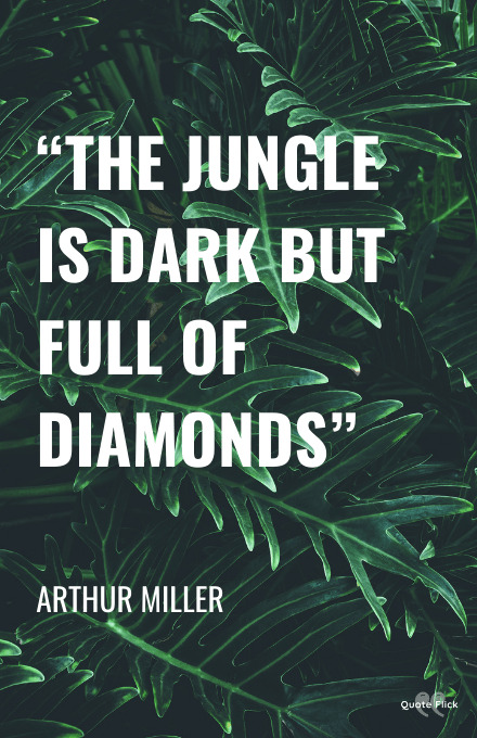 Quotes about the jungle