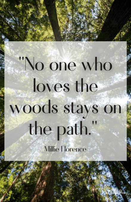 Quotes about the woods