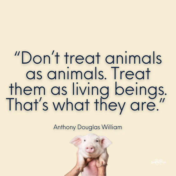 Quotes against animal cruelty