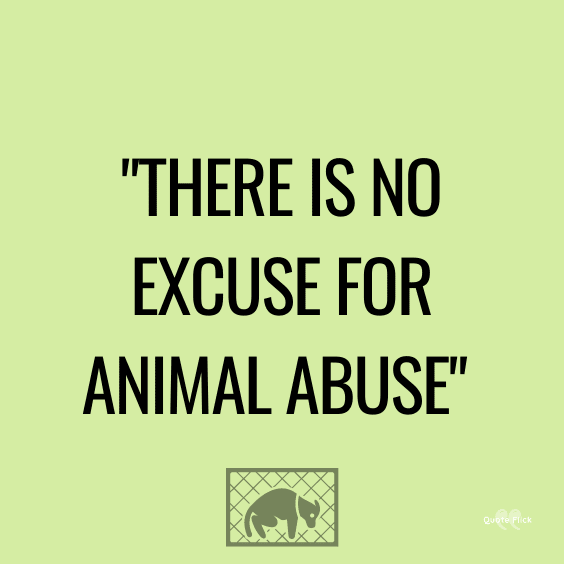 Quotes for animal abuse
