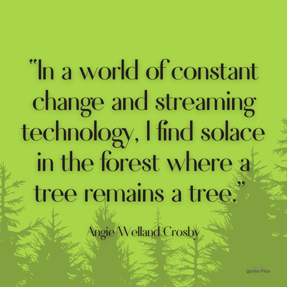 Quotes forest